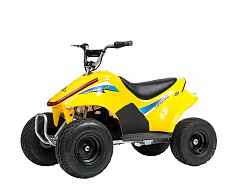 Электроквадроцикл ATEA 500И