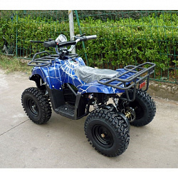 Электроквадроцикл El-Sport Children ATV 1000W 36V/12Ah