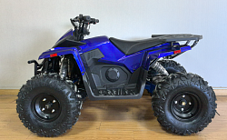 Электроквадроцикл GreenCamel Атакама T630 (72V 2000W R8)